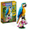 Picture of Lego Creator Exotic Parrot